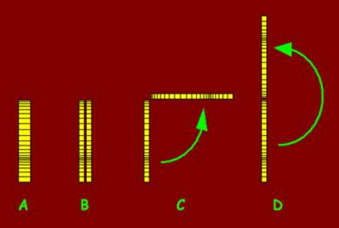 Classical Guitar Book-Matching a Back