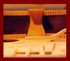 Classical Guitar The Neck Block