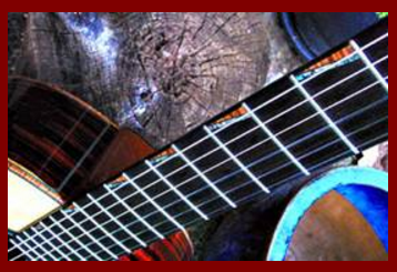 Classical Guitar Fingerboard