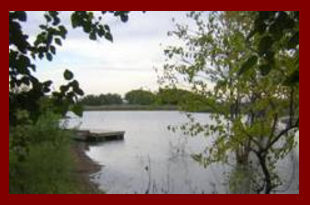 Classical Guitar Water-Based Lacquer