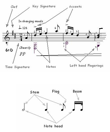 Elements of a Musical Score 2