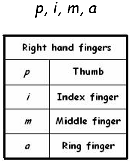 Left & Right Hand Fingering 4