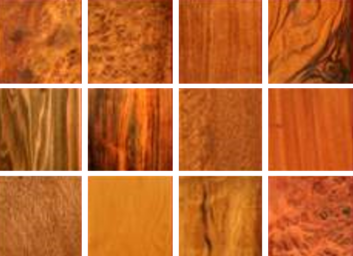 Alternative Wood Choices for the Classical Guitar