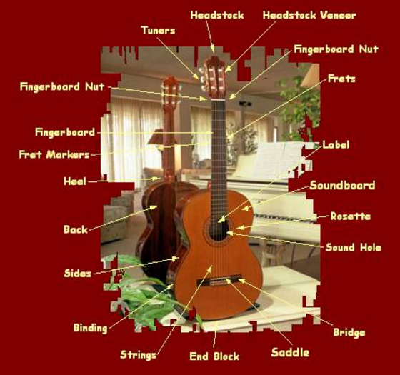Anatomy of a Classical Guitar