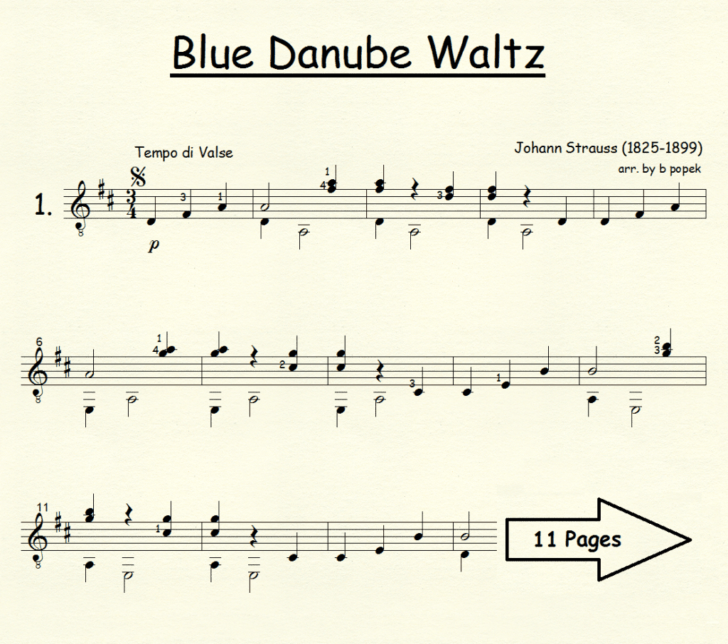 Blue Danube Waltz by Strauss | cgsmusic