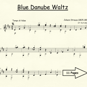 Blue Danube Waltz by Strauss
