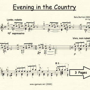 Evening in the Country by Bartok