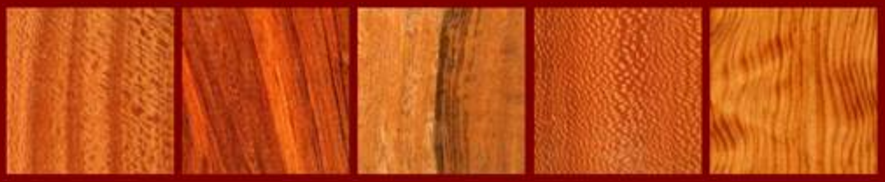 Lacey She Oak, Curly Lagerstroemia, E.Ind. Laurel, Brazilian Leopard Wood, Fig. Long Leaf Pine for the Classical Guitar