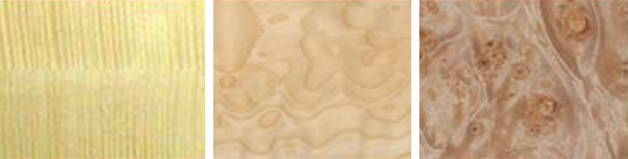 Maple for Classical Guitar