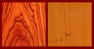 Tulipwood, Yew for the Classical Guitar