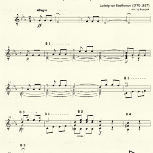 Symphony # 5 in C minor