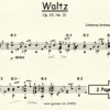 Waltz Op 39. 15 Brahms for Classical Guitar in Standard Notation